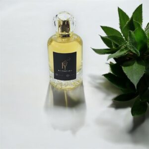 282 - In The Direction of Noir Extreme T○m F