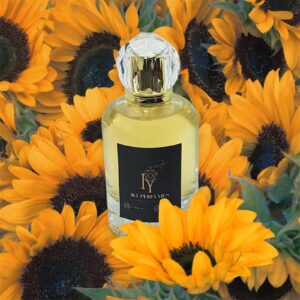 288 - In The Direction of Libra Intnse Ys.L