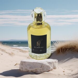 595 - In The Direction of Blue di ch@nɛl Eau de Parfum