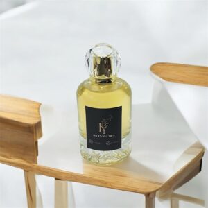 538 - In The Direction of di○r Suvage elxir